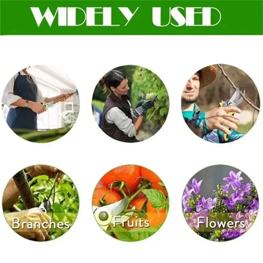 Pruner Garden Scissors Professional Branch Trimming Vegetable Fruit Tree Sharp Pruning Shears Household Gardening Shear Scissor