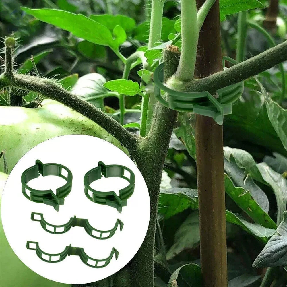 Plastic Plant Support Clips,Plastic Clips for Securing Plants,Tomato Vine Clips,Plant Fixing Clips,Garden Clips for Climbing